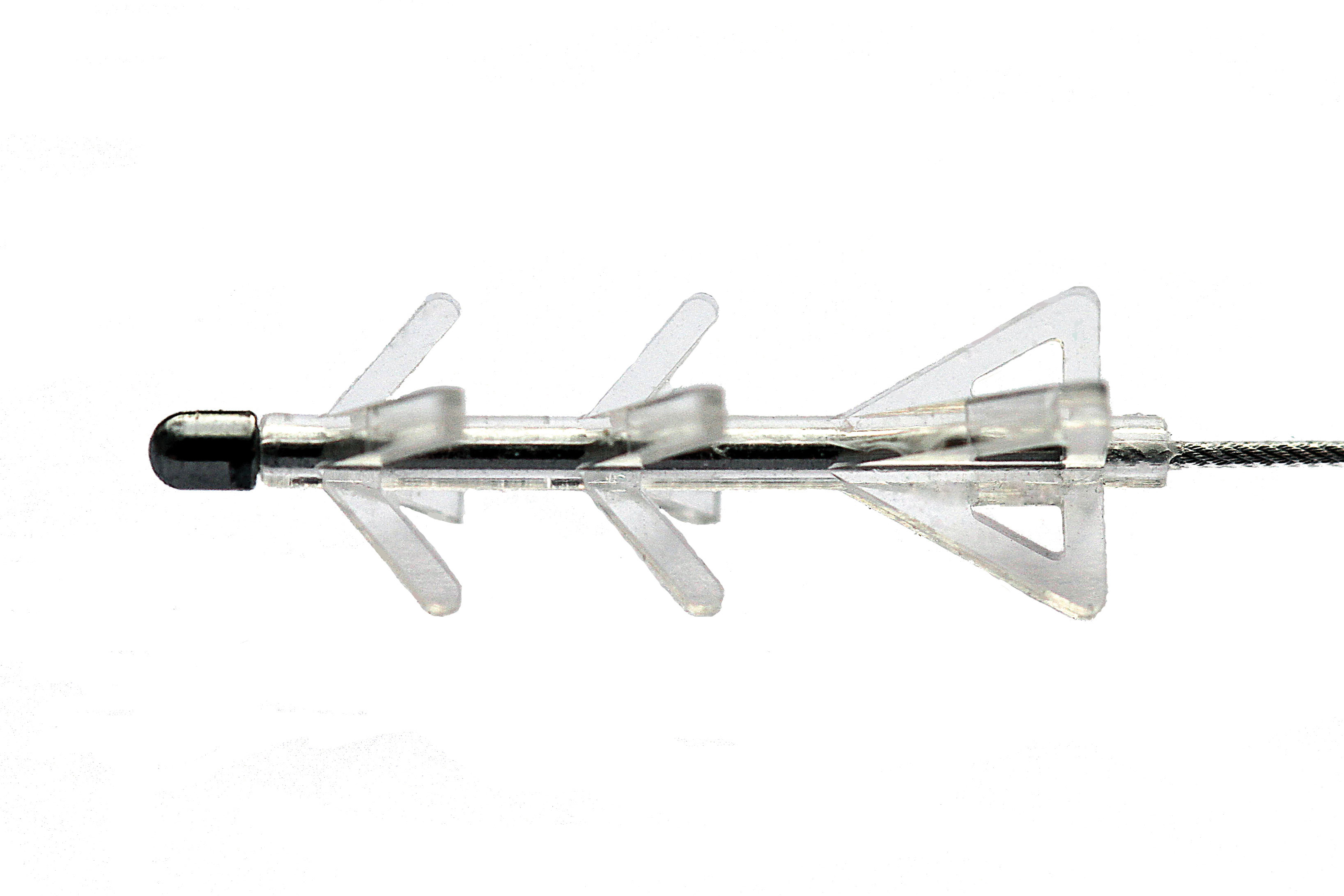 fig_2b_jpg